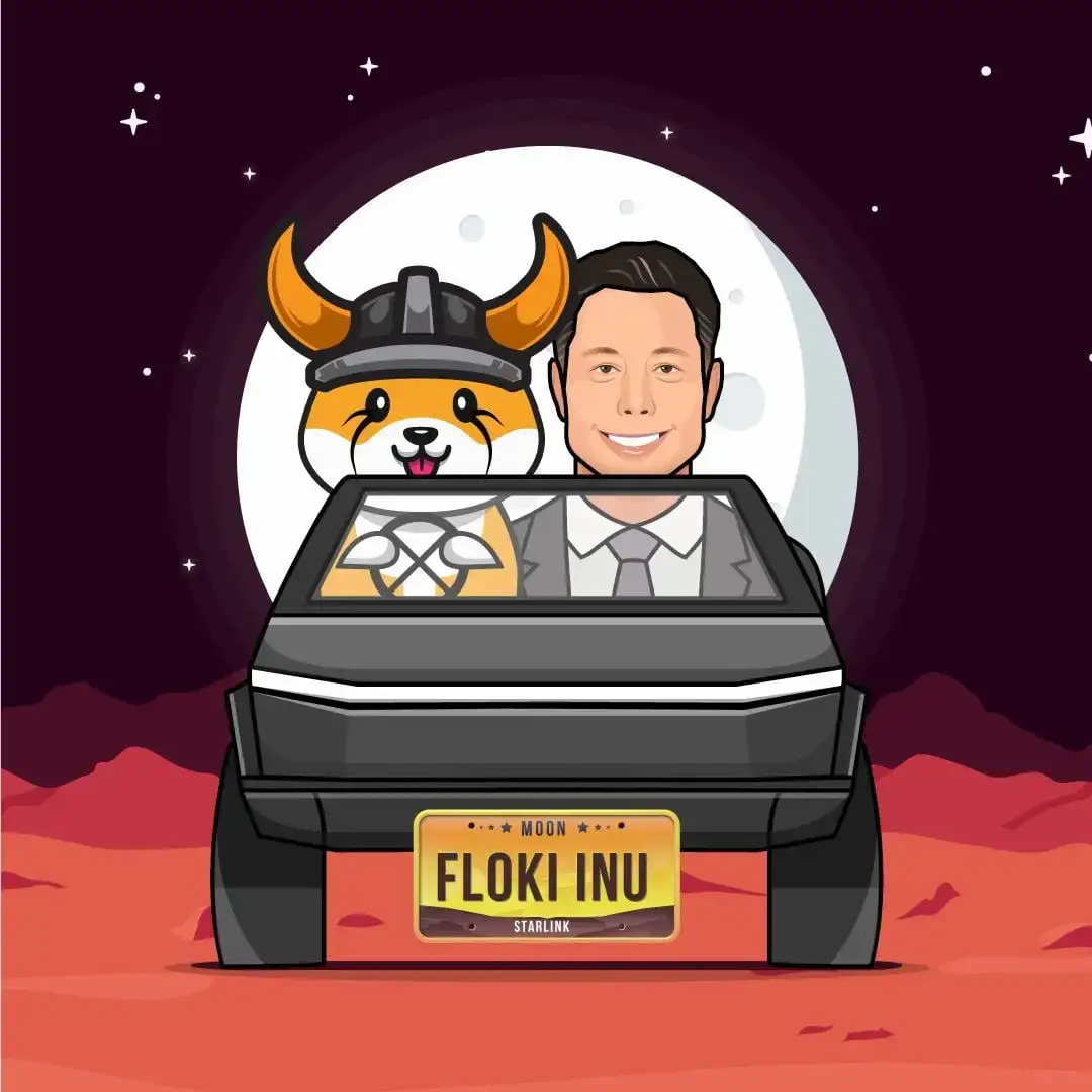 FLOKI (Floki Inu) là gì? Con cưng của Elon Musk