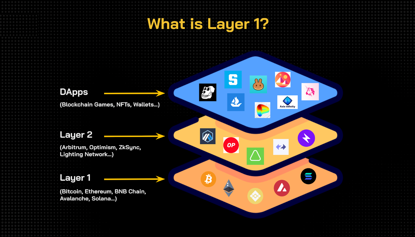 Layer 1 Blockchain là gì? Xu hướng phát triển trong thị trường Crypto