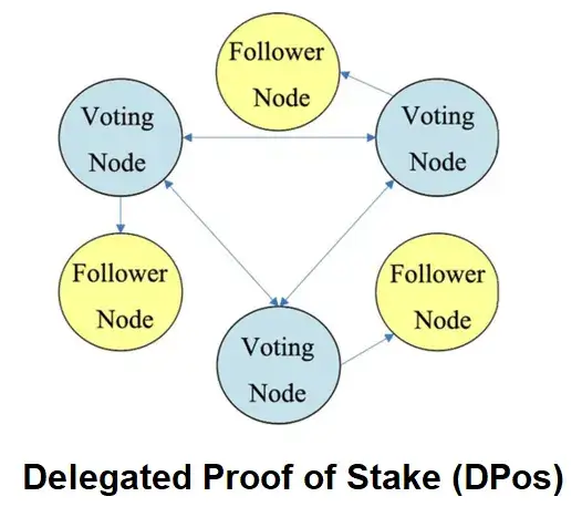 Node là gì? Tìm hiểu 5 bước chạy node của blockchain