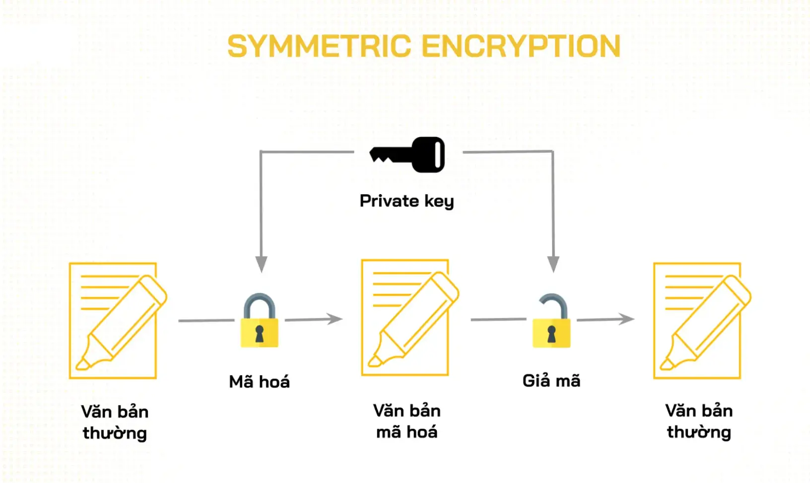 Cryptography là gì? Vai trò của mật mã học trong blockchain